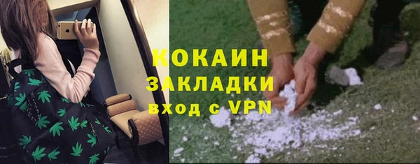 стаф Балахна