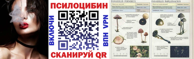 Галлюциногенные грибы Psilocybine cubensis что такое наркотик Красный Сулин