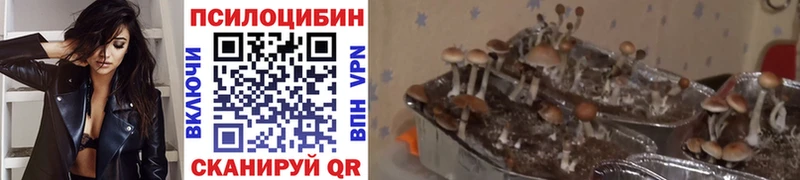 Галлюциногенные грибы Magic Shrooms Красный Сулин