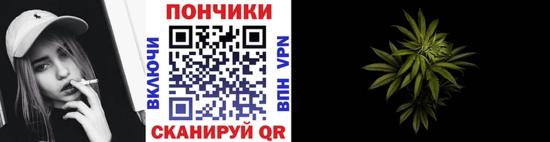 Шишки марихуана конопля Красный Сулин